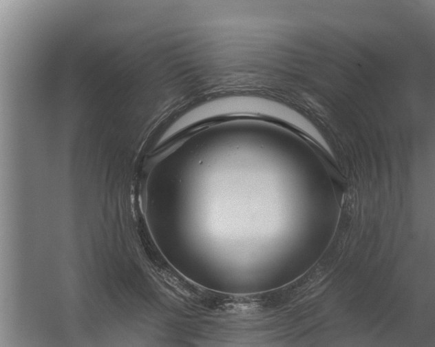 X0000059800552200511041630