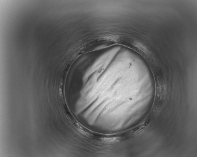 X0000059800553200511041630