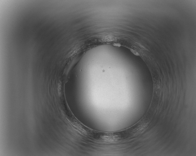 X0000059800556200511041630