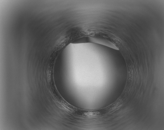 X0000059800558200511041630