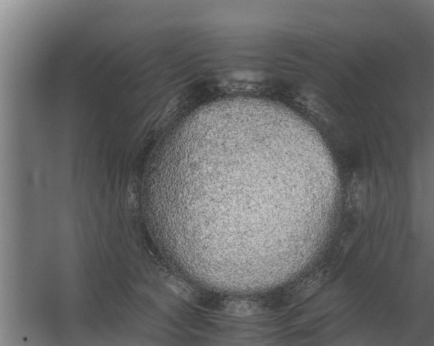 X0000059800561200511041630