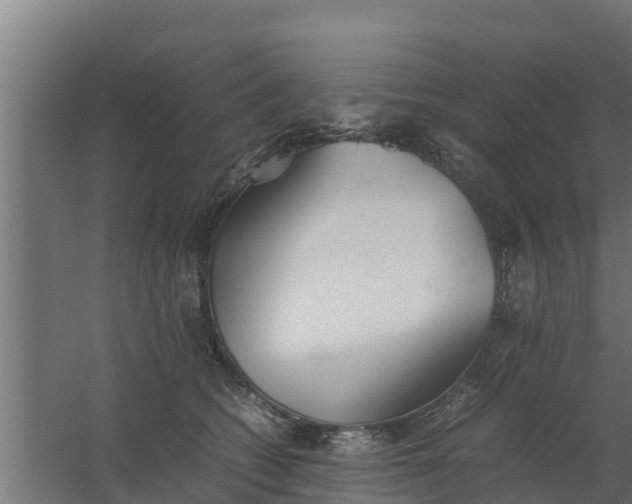 X0000059800562200511041630