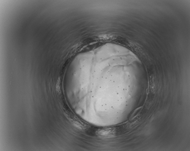 X0000059800563200511041630