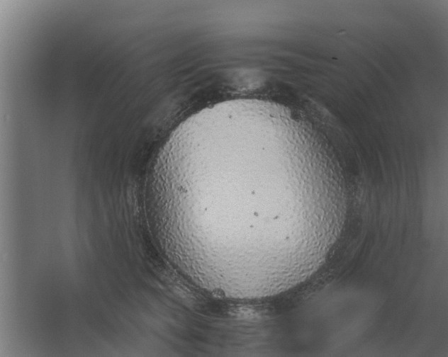 X0000059800565200511041630