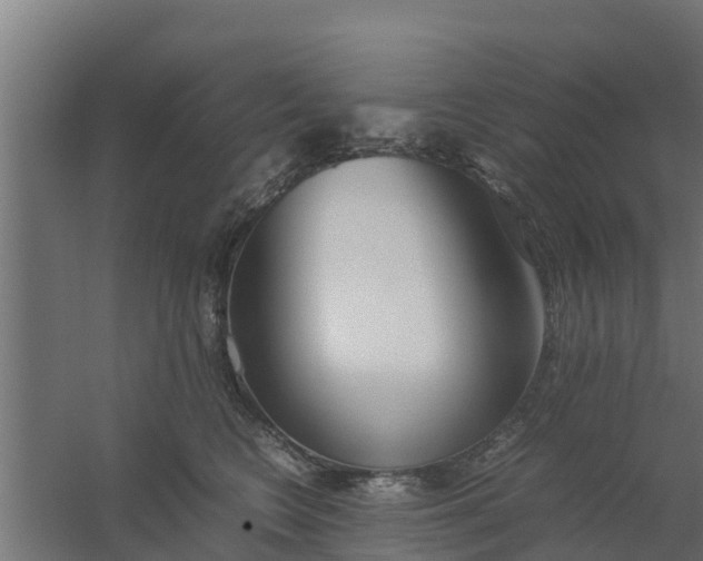 X0000059800566200511041630