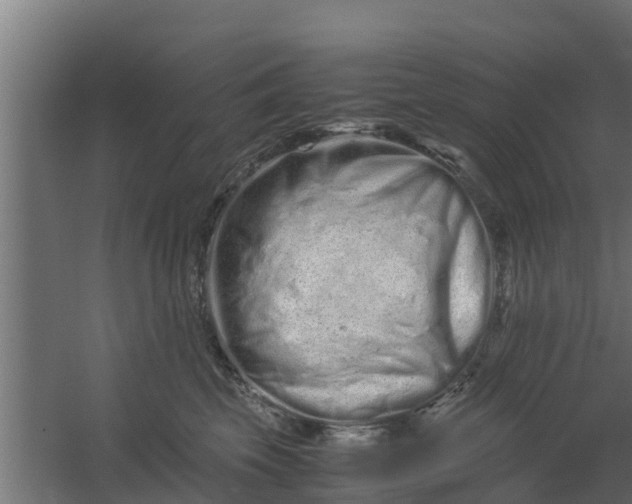 X0000059800569200511041630