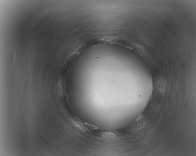 X0000059800572200511041630