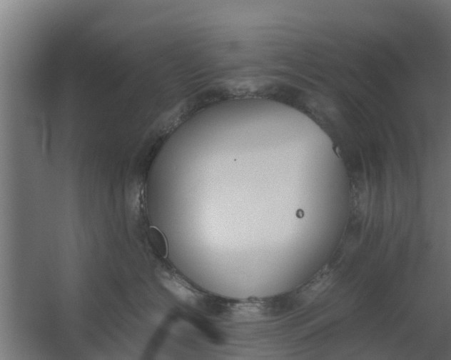 X0000059800574200511041630