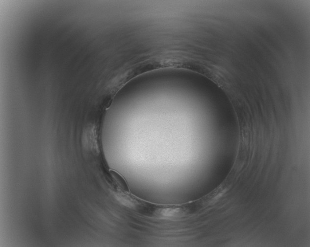 X0000059800575200511041630