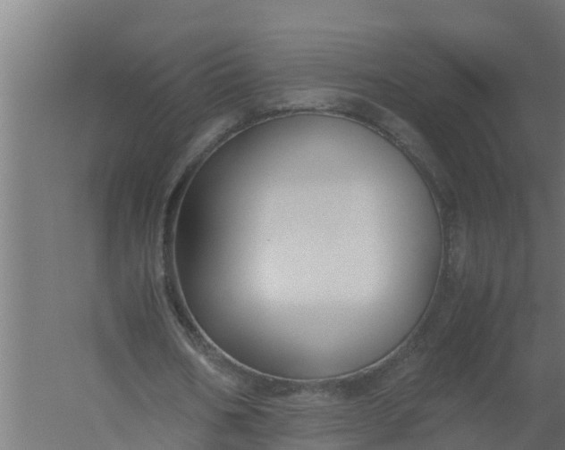 X0000059800578200511041629