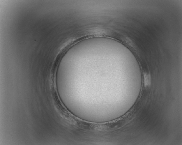 X0000059800579200511041629