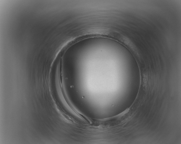 X0000059800580200511041629