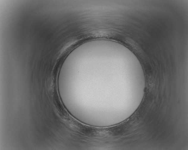 X0000059800583200511041629