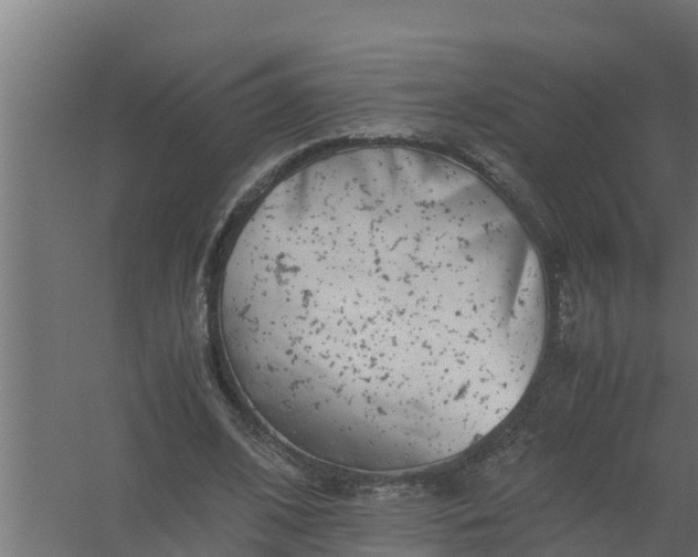 X0000059800584200511041629