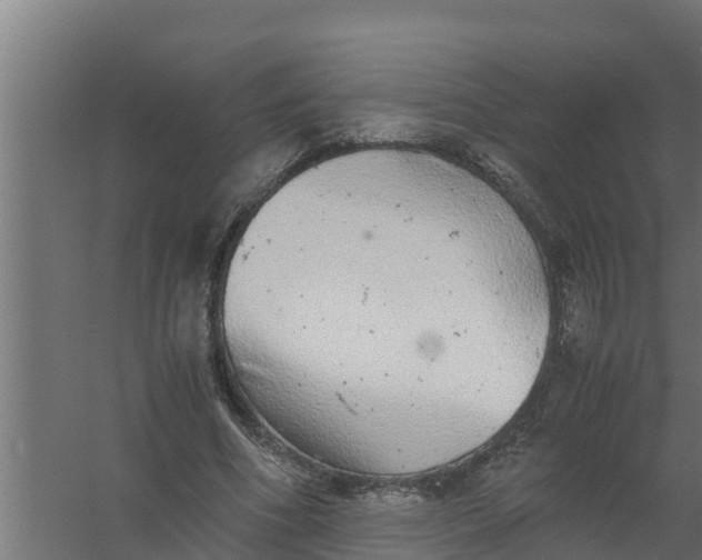 X0000059800586200511041629