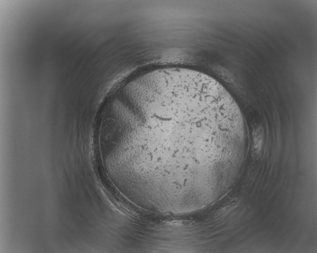 X0000059800588200511041629