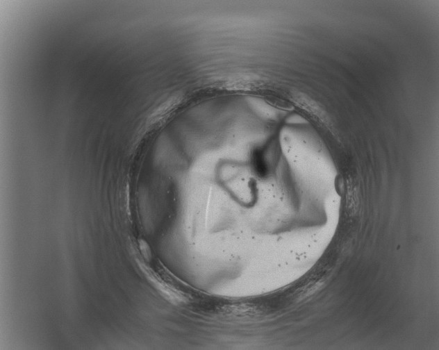 X0000059800589200511041629