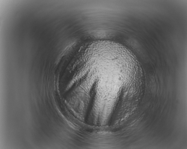 X0000059800590200511041629