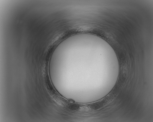 X0000059800591200511041629