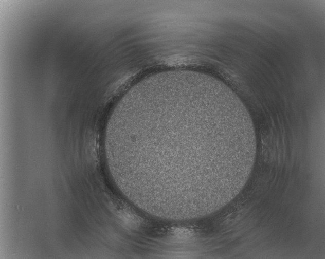 X0000059800592200511041629