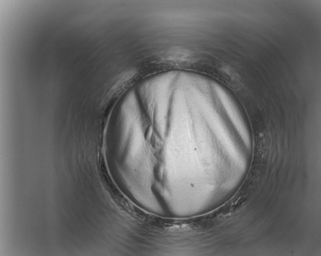 X0000059800594200511041629