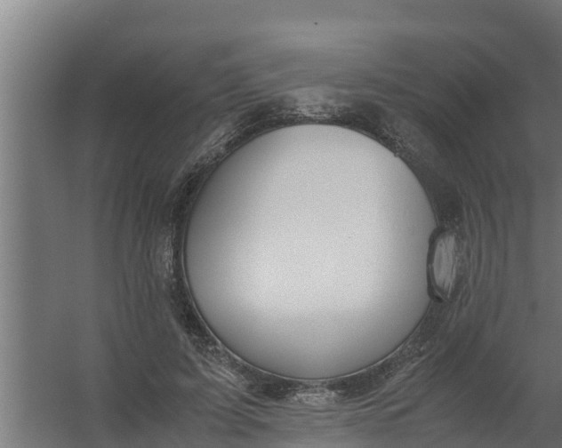 X0000059800595200511041629