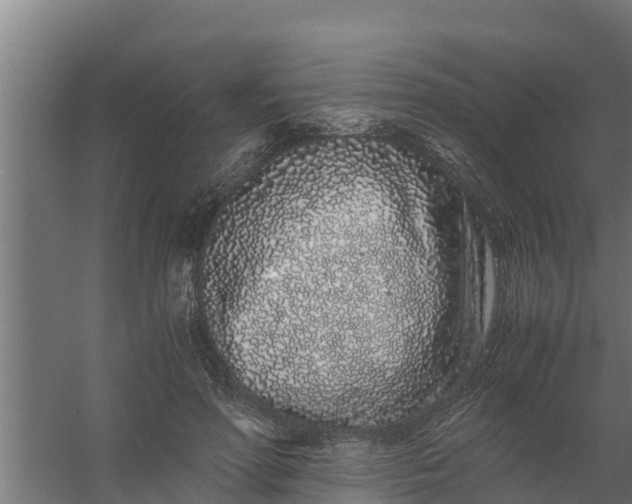 X0000059800598200511041629