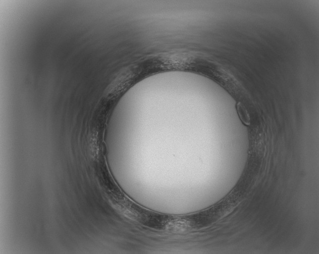 X0000059800599200511041629