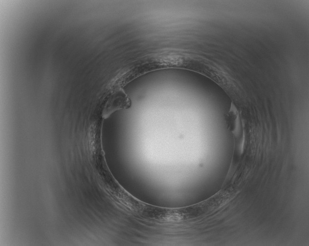 X0000059800600200511041629