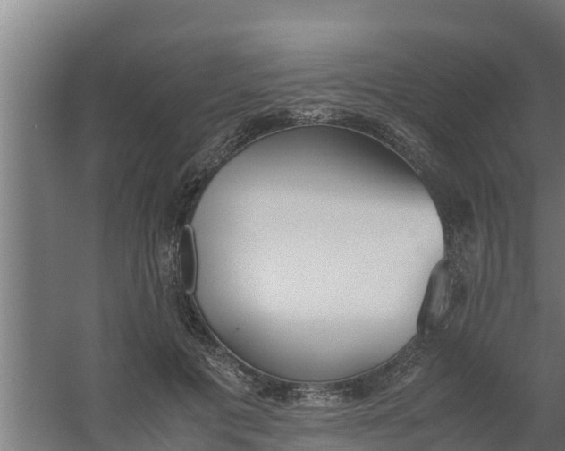 X0000059800601200511041629