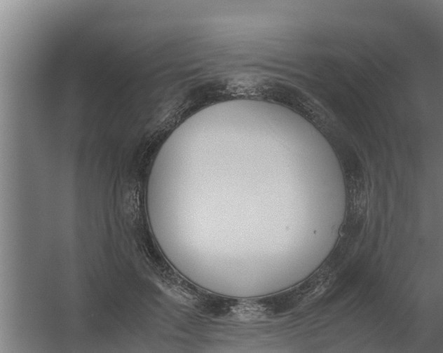 X0000059800603200511041629