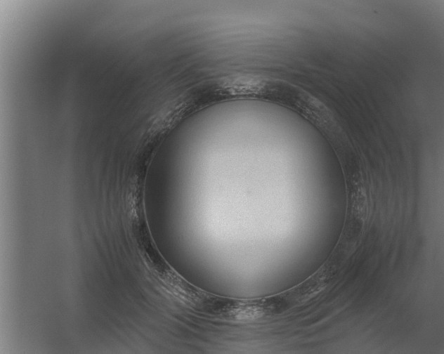 X0000059800604200511041629