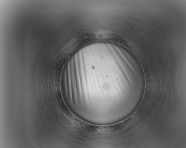 X0000059800606200511041629