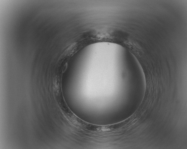 X0000059800607200511041629