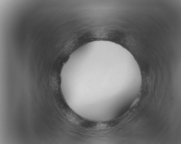 X0000059800609200511041629