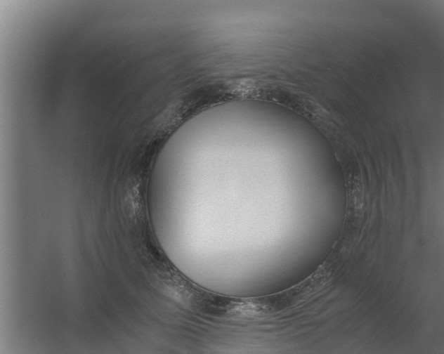 X0000059800611200511041629