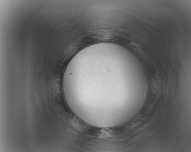 X0000059800612200511041629