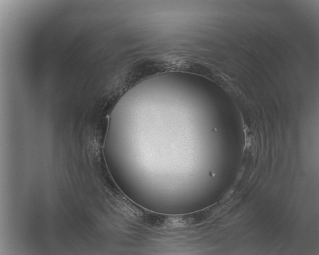 X0000059800613200511041629