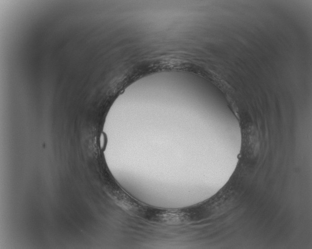 X0000059800615200511041629