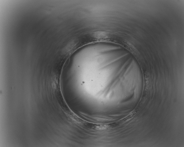 X0000059800618200511041629