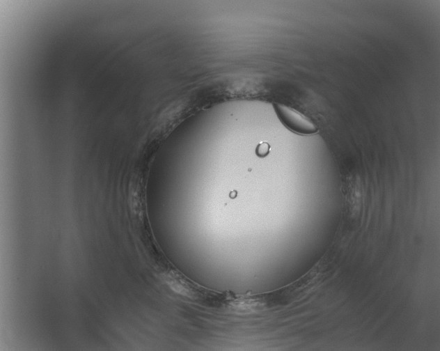 X0000059800619200511041629