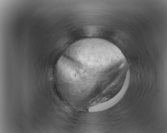 X0000059800620200511041629