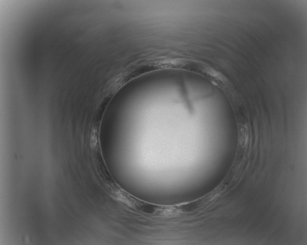 X0000059800621200511041629