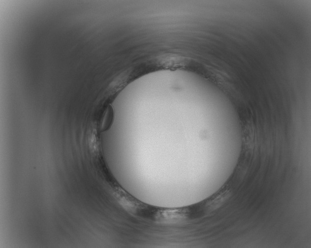 X0000059800622200511041629