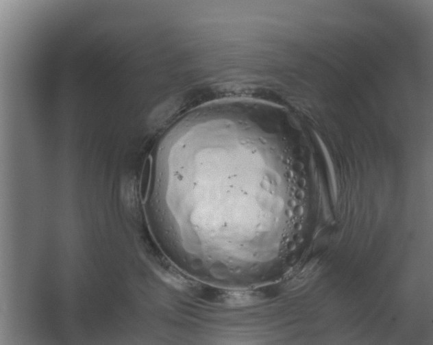 X0000059800623200511041629