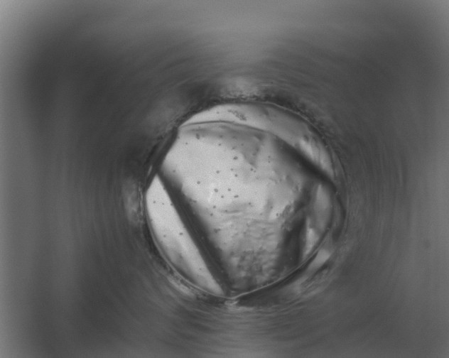 X0000059800624200511041629