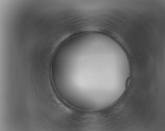 X0000059800625200511041628