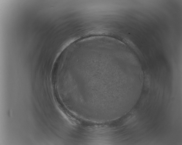 X0000059800626200511041628