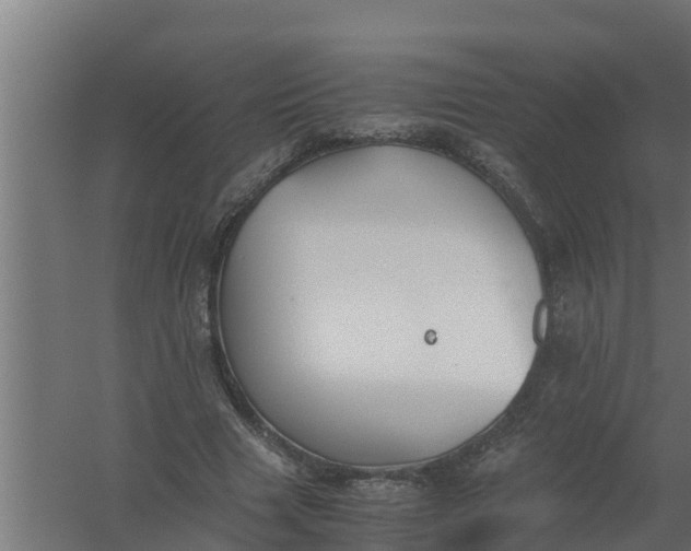 X0000059800633200511041628