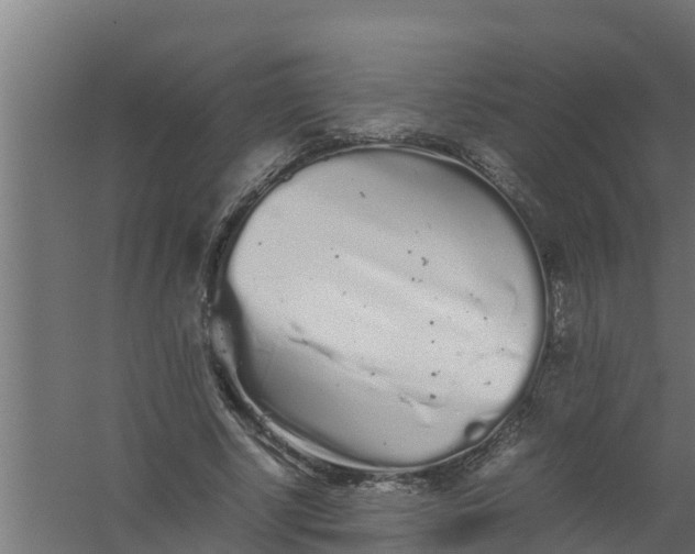 X0000059800634200511041628